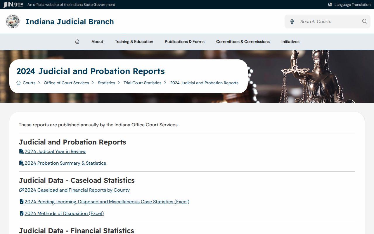 Wayne County court docket 2024 judicial statistics source